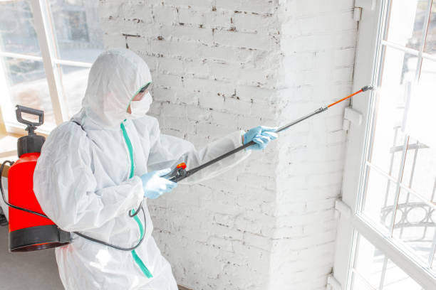 Best Mold Prevention Services  in Iyanbito, NM