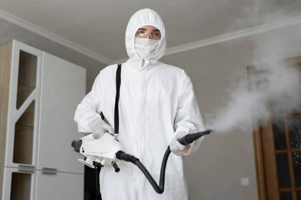 Iyanbito, NM Mold Removal & Remediation Company